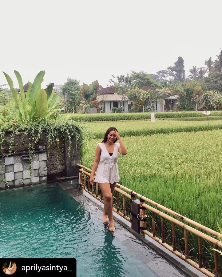 Nirankara Private Pool Villa - By Ubud Paradise Buitenkant foto