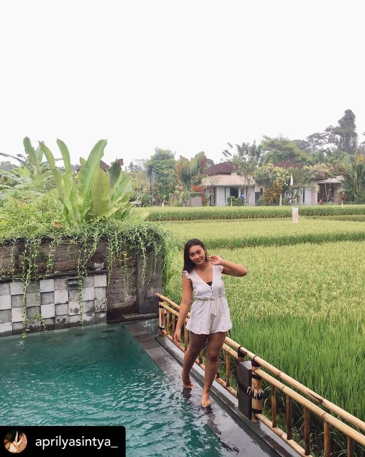 Nirankara Private Pool Villa - By Ubud Paradise Buitenkant foto
