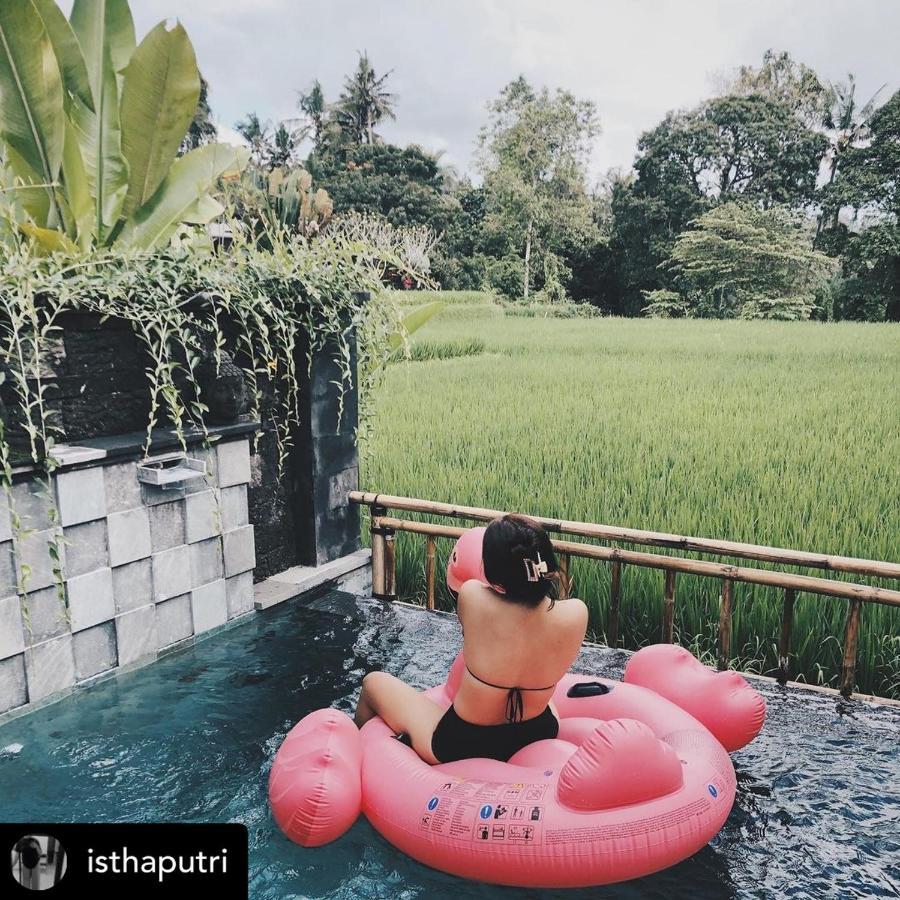 Nirankara Private Pool Villa - By Ubud Paradise Buitenkant foto